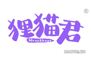 狸猫君 MRNEKKOYA