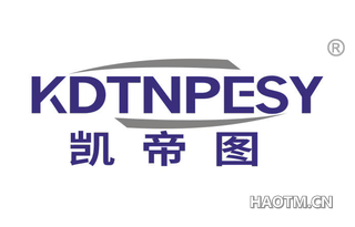 凯帝图 KDTNPESY