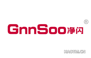 净闪 GNNSOO