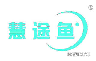慧途鱼 