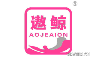 遨鲸 AOJEAION