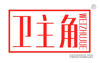卫主角 