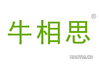 牛相思 