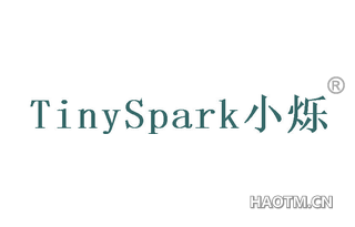 小烁 TINYSPARK