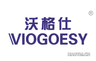 沃格仕 VIOGOESY