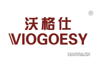 沃格仕 VIOGOESY