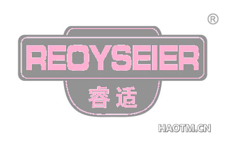 睿适 REOYSEIER