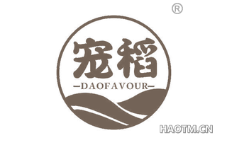 宠稻 DAOFAVOUR