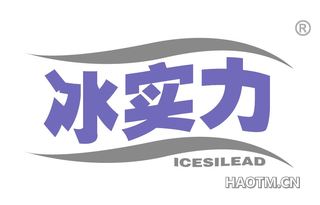 冰实力 ICESILEAD