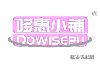 哆惠小铺 DOWISEPU