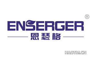 恩瑟格 ENSERGER