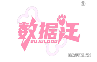 数据汪 SUJULDOG