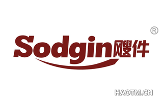 飕件 SODGIN