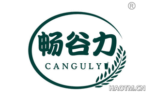 畅谷力 CANGULY