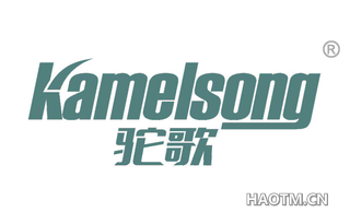 驼歌 KAMELSONG