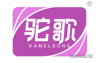 驼歌 KAMELSONG