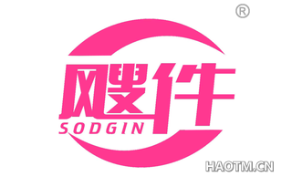 飕件 SODGIN