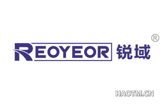 锐域 REOYEOR