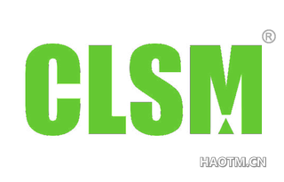 CLSM