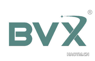  BVX