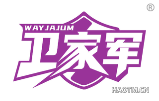 卫家军 WAYJAJUM