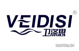 卫涤思 VEIDISI