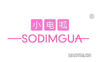 小电呱 SODIMGUA