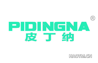 皮丁纳 