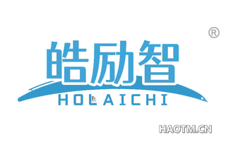 皓励智 HOLAICHI