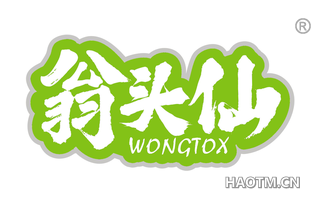 翁头仙 WONGTOX