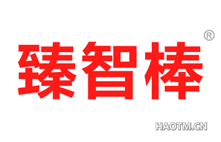 臻智棒 