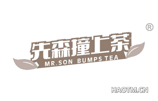 先森撞上茶 MR SON BUMPS TEA