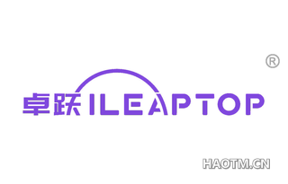 卓跃 ILEAPTOP