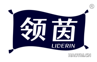 领茵 LIDERIN