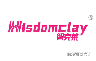 智克莱 WISDOMCLAY