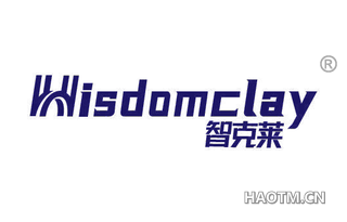 智克莱 WISDOMCLAY