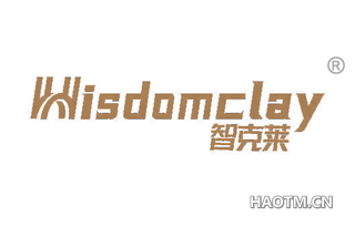 智克莱 WISDOMCLAY