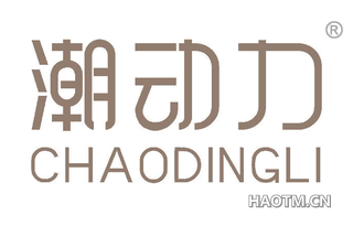 潮动力 CHAODINGLI