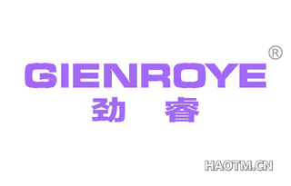 劲睿 GIENROYE