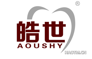 皓世 AOUSHY