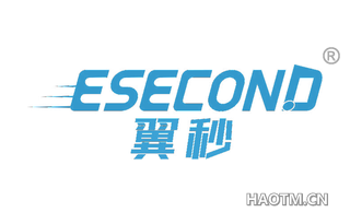 翼秒 ESECOND