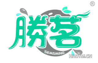 胜茗 SEMSMING