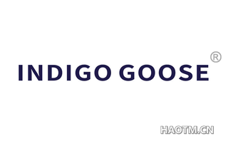 INDIGO GOOSE