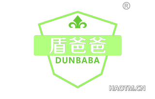 盾爸爸 