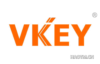 VKEY