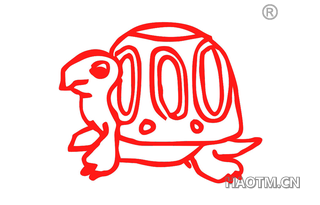  乌龟图形