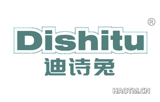 迪诗兔 