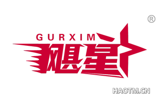 飓星 GURXIM