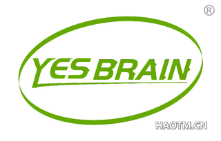 YES BRAIN