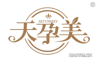 天孕美 SKYUNMEY